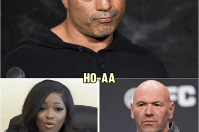 Joe Rogan CALLED Jasmine Crockett ‘Fake Lawyer’ — 41s Later, She EXPOSED His Secret Drυg Deals | HO~