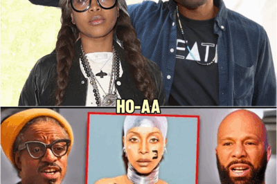 Andre 3000 & Common Reveals How Erykah Badu’s Box CURSED Their Career | HO’