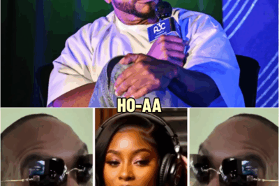 Timbaland Gets FINAL WARNING From Celebs All Over The WORLD After Deal With AI Company Went SOUTH | HO’