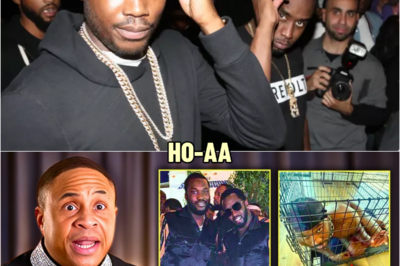 Orlando Brown REVEALS Why Meek Milll AGREED To Be ᴇᴀᴛᴇɴ By Diddy | HO’