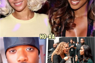 Ray J Trashes Beyonce After Backstage Fight With Brandy | Reveals Why They Secretly Hate Each Other | HO’