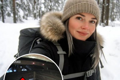 Tourist Vanished in Alaska — 4 Years Later, A Cabin and a Camera Revealed Her Final Days | HO”