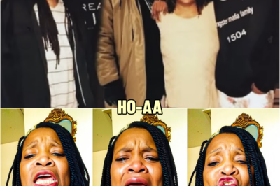 St. Louis Mom LOSES Life While Looking For Her Son K!ller  | HO”