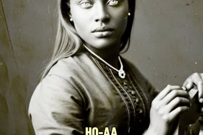 The Impossible Secret Of The Most Beautiful Slave Woman Ever Auctioned in Louisiana — 1851 | HO!!!!