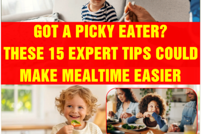 Got a Picky Eater? These 15 Expert Tips Could Make Mealtime Easier