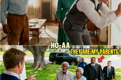 Landlord Tried to Evict Elderly Black Couple — Didn’t Know Their Adopted Son Is a Federal Judge | HO”