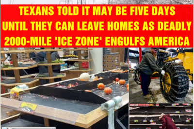 Texans told it may be FIVE DAYS until they can leave homes as deadly 2000-mile ‘ice zone’ engulfs America