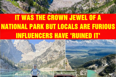 It was the crown jewel of a national park but locals are furious influencers have ‘ruined it’
