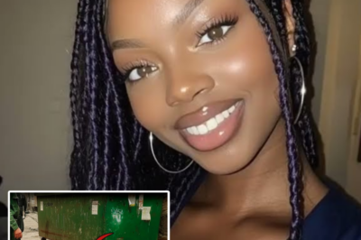 Miami Horror Pregnant Wife’s Affair With Gynecologist Ended With 𝐇𝐈𝐕 𝐈𝐧𝐟𝐞𝐜𝐭𝐢𝐨𝐧 & 𝐌𝐮𝐫𝐝𝐞𝐫 | HO”