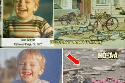 Child Vanished in 1972 — Decades Later, A Secret Life Is Uncovered… | HO”