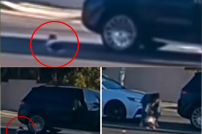 Heart stopping video shows toddler fly out of mother’s Mercedes SUV at busy LA intersection