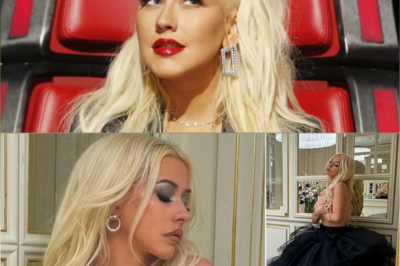 Christina Aguilera cradles her breasts in her hands for racy topless snapshots inside her Paris hotel