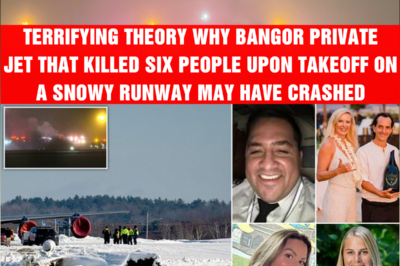 Terrifying theory why Bangor private jet that killed six people upon takeoff on a snowy runway may have crashed