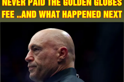 Joe Rogan admits he refused to pay Golden Globes nomination fee… after fury over his shock snub