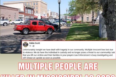Multiple people are killed in Mississippi as cops arrest suspect