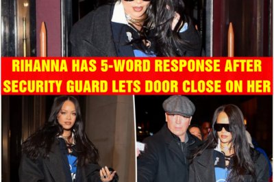 Rihanna Has 5-Word Response After Security Guard Lets Door Close on Her