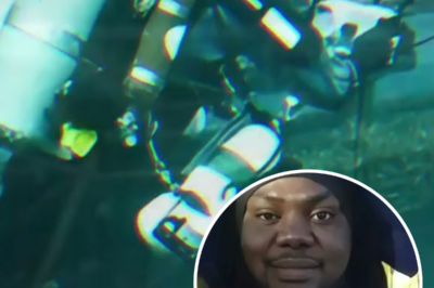 Three days after a tugboat sank off Nigeria, a diver slipped through the wreck to recover bodies. In the dark, he felt a tap on his back—then froze as a living man looked right at him | HO