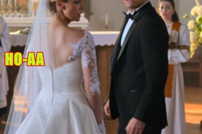 The Wedding That Broke Our Family