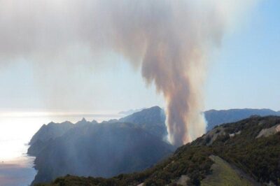 A massive fire has erupted on an island within a Southern California national park, threatening numerous rare animal species.