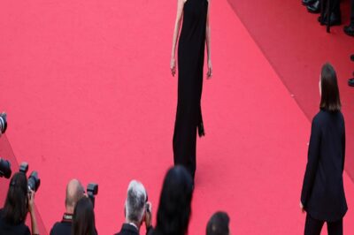 Red Carpet Looks From the 2026 Cannes Film Festival