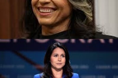 Tulsi Gabbard’s CONTENTIOUS time as Director of National Intelligence | MS NOW Highlights